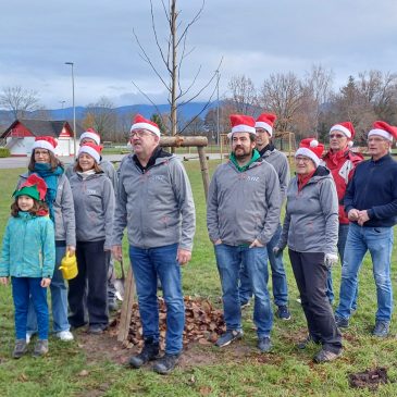 Baumpflanz-Challenge 2025